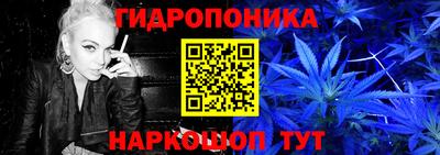 прущие крисы Канаш